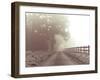 Country Haze-Assaf Frank-Framed Giclee Print