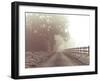 Country Haze-Assaf Frank-Framed Giclee Print