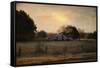 Country Heirloom-Jai Johnson-Framed Stretched Canvas