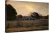 Country Heirloom-Jai Johnson-Stretched Canvas