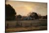 Country Heirloom-Jai Johnson-Stretched Canvas