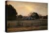 Country Heirloom-Jai Johnson-Stretched Canvas