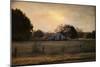 Country Heirloom-Jai Johnson-Mounted Giclee Print