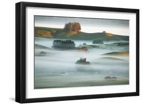 Country Hills in Fog Mist & Light Petaluma Sonoma California-Vincent James-Framed Photographic Print