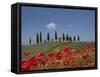 Country Home and Poppies, Near Pienza, Tuscany, Italy, Europe-Angelo Cavalli-Framed Stretched Canvas