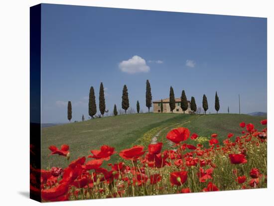 Country Home and Poppies, Near Pienza, Tuscany, Italy, Europe-Angelo Cavalli-Stretched Canvas