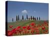 Country Home and Poppies, Near Pienza, Tuscany, Italy, Europe-Angelo Cavalli-Stretched Canvas