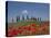 Country Home and Poppies, Near Pienza, Tuscany, Italy, Europe-Angelo Cavalli-Stretched Canvas