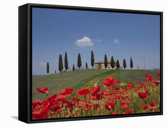 Country Home and Poppies, Near Pienza, Tuscany, Italy, Europe-Angelo Cavalli-Framed Stretched Canvas