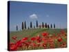 Country Home and Poppies, Near Pienza, Tuscany, Italy, Europe-Angelo Cavalli-Stretched Canvas