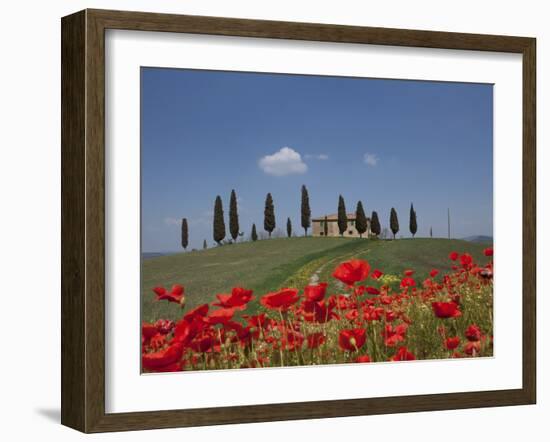 Country Home and Poppies, Near Pienza, Tuscany, Italy, Europe-Angelo Cavalli-Framed Photographic Print