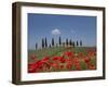 Country Home and Poppies, Near Pienza, Tuscany, Italy, Europe-Angelo Cavalli-Framed Photographic Print