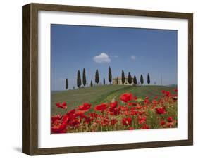 Country Home and Poppies, Near Pienza, Tuscany, Italy, Europe-Angelo Cavalli-Framed Photographic Print