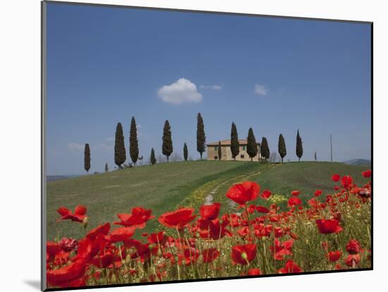 Country Home and Poppies, Near Pienza, Tuscany, Italy, Europe-Angelo Cavalli-Mounted Photographic Print