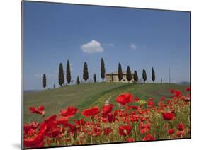 Country Home and Poppies, Near Pienza, Tuscany, Italy, Europe-Angelo Cavalli-Mounted Photographic Print