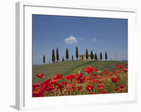 Country Home and Poppies, Near Pienza, Tuscany, Italy, Europe-Angelo Cavalli-Framed Photographic Print