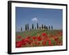 Country Home and Poppies, Near Pienza, Tuscany, Italy, Europe-Angelo Cavalli-Framed Photographic Print