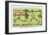 Country Homes near Newport, Rhode Island-J. Weidermann-Framed Art Print