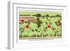 Country Homes near Newport, Rhode Island-J. Weidermann-Framed Art Print