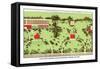 Country Homes near Newport, Rhode Island-J. Weidermann-Framed Stretched Canvas