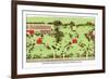 Country Homes near Newport, Rhode Island-J. Weidermann-Framed Art Print