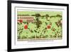 Country Homes near Newport, Rhode Island-J. Weidermann-Framed Art Print