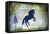 Country Horse II-LightBoxJournal-Framed Stretched Canvas