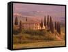 Country House, Il Belvedere, San Quirico D'Orcia, Val D'Orcia, Siena Province, Tuscany, Italy-Pitamitz Sergio-Framed Stretched Canvas