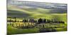 Country Houses in Tuscany-Vadim Ratsenskiy-Mounted Art Print