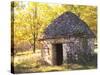 Country Hut of Stone (Borie), Truffiere De La Bergerie, Ste Foy De Longas, Dordogne, France-Per Karlsson-Stretched Canvas