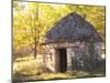 Country Hut of Stone (Borie), Truffiere De La Bergerie, Ste Foy De Longas, Dordogne, France-Per Karlsson-Mounted Photographic Print