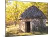 Country Hut of Stone (Borie), Truffiere De La Bergerie, Ste Foy De Longas, Dordogne, France-Per Karlsson-Mounted Photographic Print