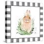 Country Kitchen Bunny-Enya Todd-Stretched Canvas