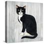 Country Kitty I on Wood-David Cater Brown-Stretched Canvas