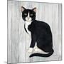 Country Kitty I on Wood-David Cater Brown-Mounted Art Print