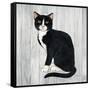 Country Kitty I on Wood-David Cater Brown-Framed Stretched Canvas