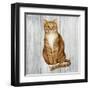 Country Kitty II on Wood-David Cater Brown-Framed Art Print