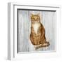 Country Kitty II on Wood-David Cater Brown-Framed Art Print