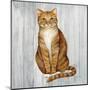 Country Kitty II on Wood-David Cater Brown-Mounted Art Print