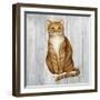 Country Kitty II on Wood-David Cater Brown-Framed Art Print