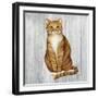 Country Kitty II on Wood-David Cater Brown-Framed Art Print