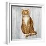 Country Kitty II on Wood-David Cater Brown-Framed Art Print