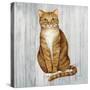 Country Kitty II on Wood-David Cater Brown-Stretched Canvas