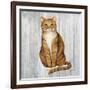 Country Kitty II on Wood-David Cater Brown-Framed Art Print