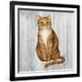 Country Kitty II on Wood-David Cater Brown-Framed Art Print