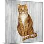 Country Kitty II on Wood-David Cater Brown-Mounted Art Print