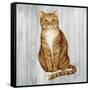 Country Kitty II on Wood-David Cater Brown-Framed Stretched Canvas