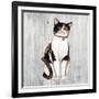 Country Kitty III on Wood-David Cater Brown-Framed Art Print