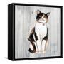 Country Kitty III on Wood-David Cater Brown-Framed Stretched Canvas