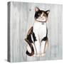 Country Kitty III on Wood-David Cater Brown-Stretched Canvas